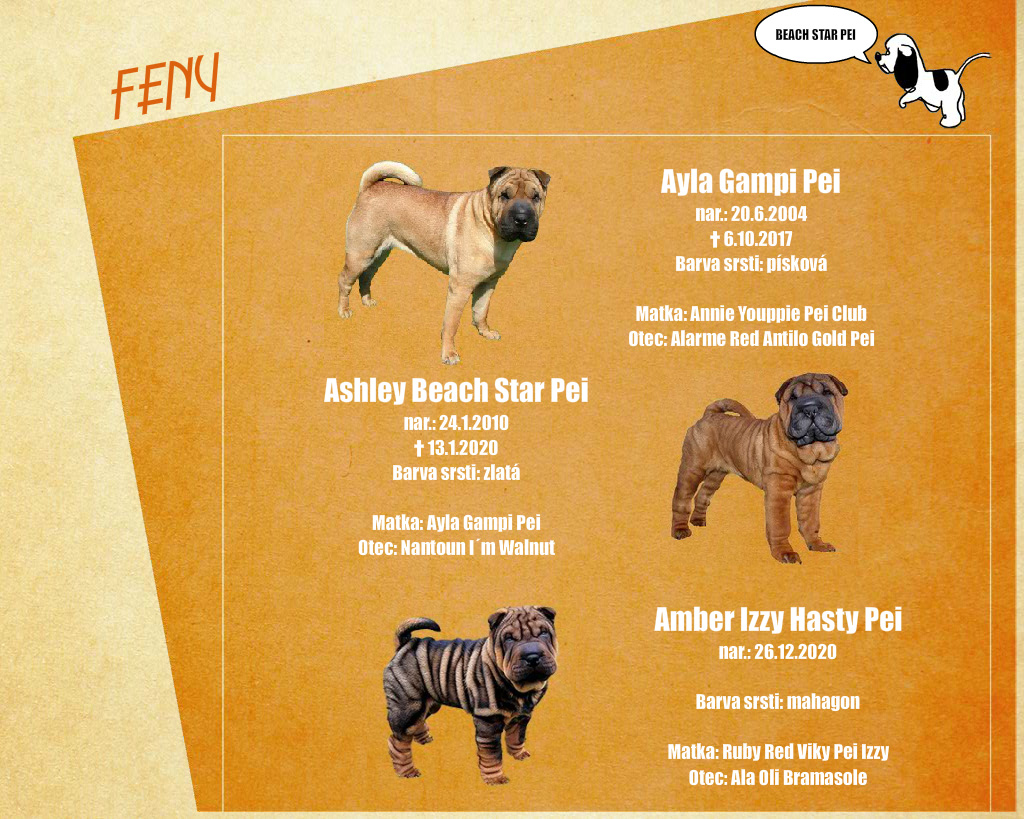 Feny