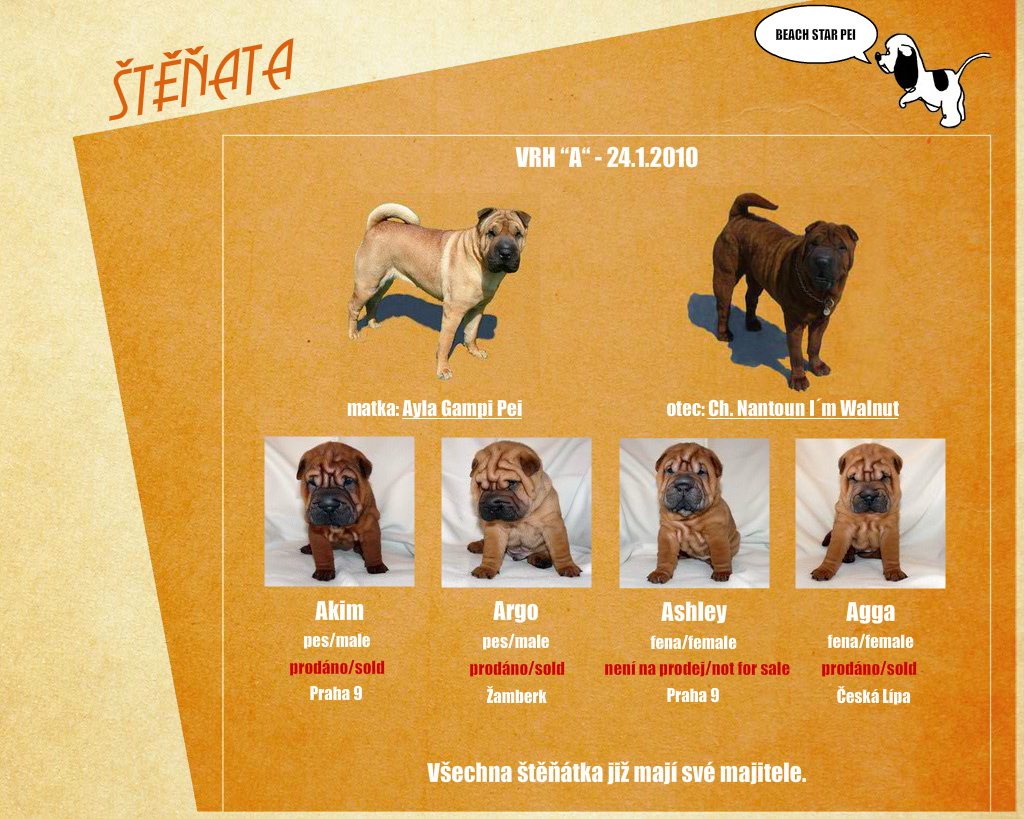 Stenata